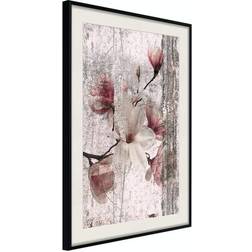 Arkiio Affisch Memorial Magnolia [Poster] 20x30 Poster